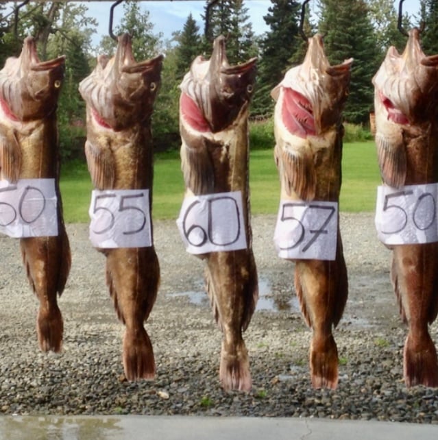Alaska fishing catch 9